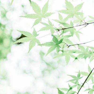 踏浪擎旗，立序新章 | 数字化、...